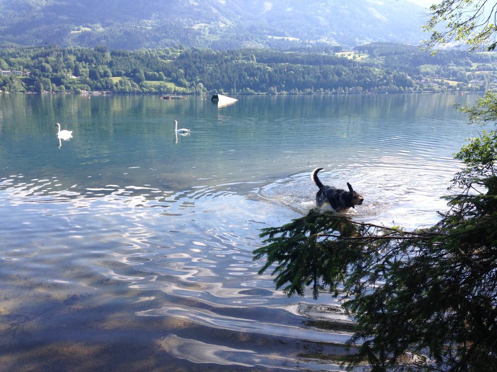 Ruhige Wohnung Mit Schoenem Eigengarten In Seeboden Am Millstaettersee חדר תמונה
