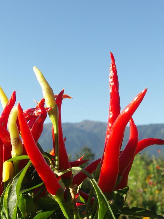 Ruhige Wohnung Mit Schoenem Eigengarten In Seeboden Am Millstaettersee חדר תמונה