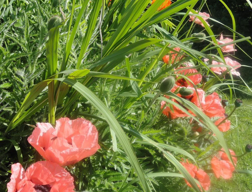 Ruhige Wohnung Mit Schoenem Eigengarten In Seeboden Am Millstaettersee מראה חיצוני תמונה