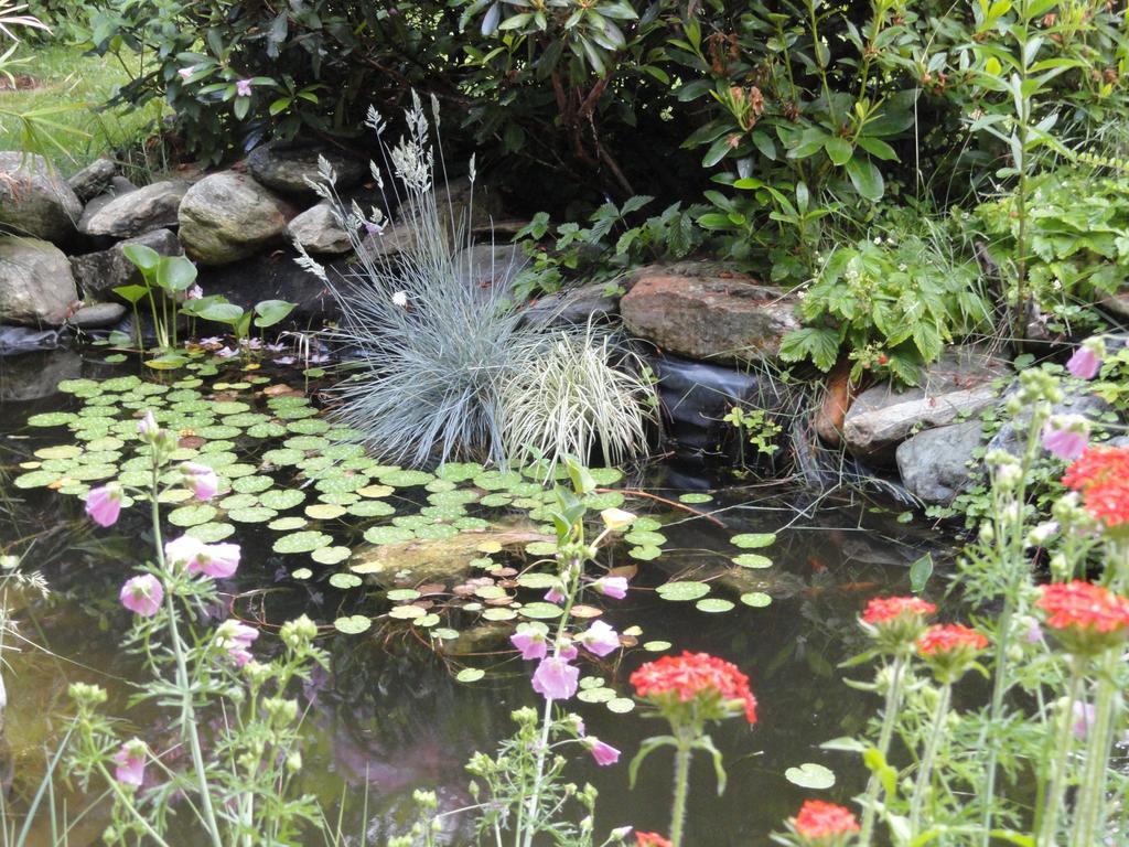 Ruhige Wohnung Mit Schoenem Eigengarten In Seeboden Am Millstaettersee מראה חיצוני תמונה
